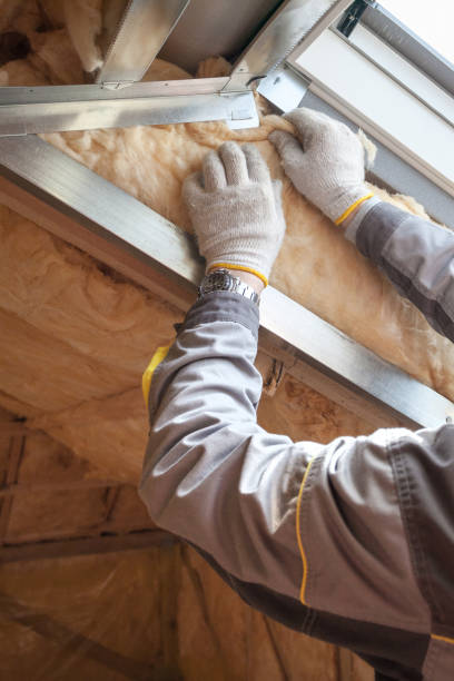 Best Spray Foam Insulation  in Old Jefferson, LA