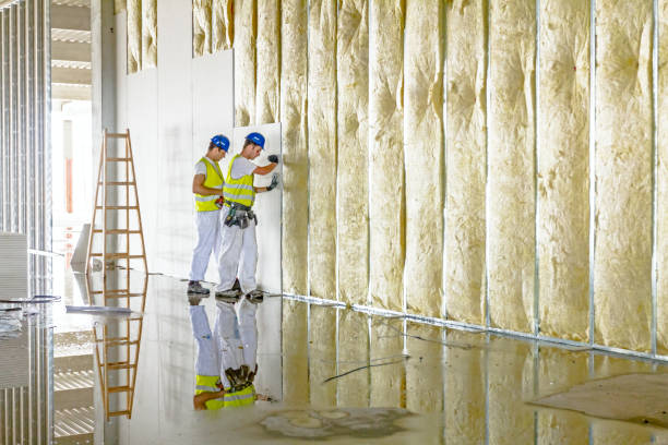 Best Soundproof Insulation Installation  in Old Jefferson, LA